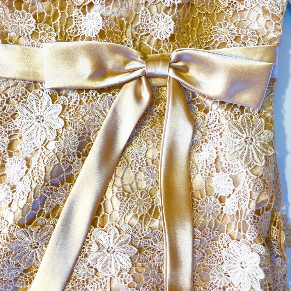 Dave & Johnny Golden Beige Rosette Lace mini Dress